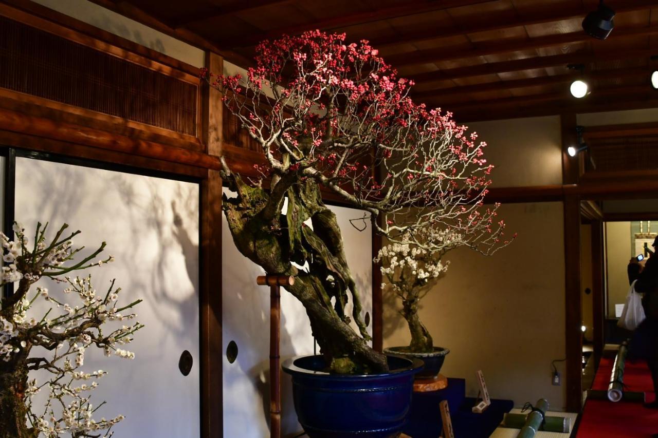 Cozy House 207, Free Wifi A Rented Electric Bicycle * Kyoto